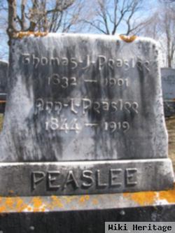 Ann L Peaslee