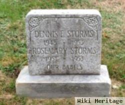 Dennis E Storms