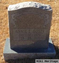 Annie E. Hosey