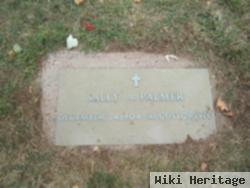 Sally A Palmer