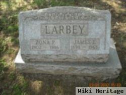 Zona P Larbey