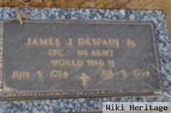 James J Despain, Jr