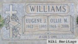 Eugene J Williams