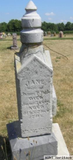 Jane Dewitt Tolle