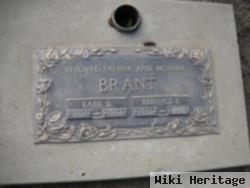 Bernice I Brant