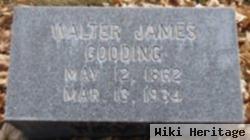 Walter James Gooding