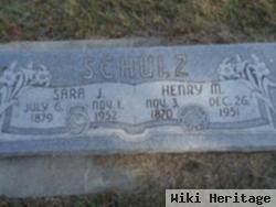 Henry M Schulz