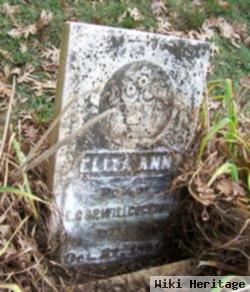 Eliza Ann Willcockson