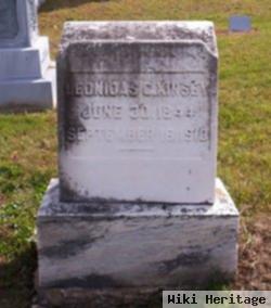 Leonidas Campbell Kinsey