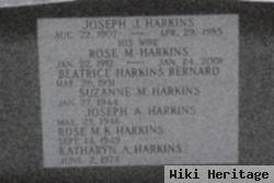 Joseph J Harkins