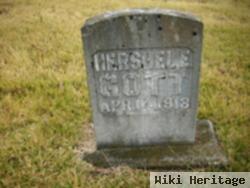 Hershel E. Gott