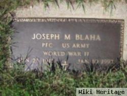 Joseph M Blaha