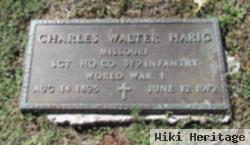 Charles Walter Harig