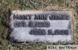 Mary Ann Edwards James