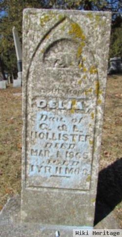 Delia Hollister