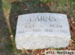 Alice Carns