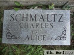 Charles Schmaltz