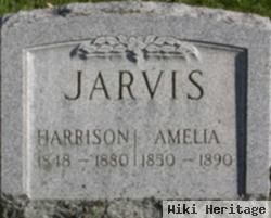 Amelia Jarvis