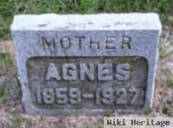 Agnes Froehlich Hartel