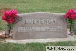 Henry Luekenga