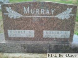 Robert H Murray