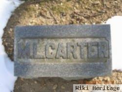 M Lizzie Carter