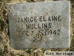 Janice Elaine Mullins