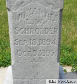 Johannes L. W. Schroeder