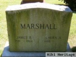 Laura A Marshall