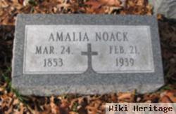 Amalia Louisa Caroline Brinkmann Noack