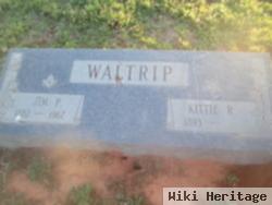 James P "jim" Waltrip