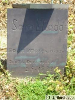 Sara E Holt Dodd