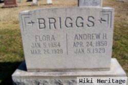 Andrew H Briggs