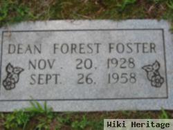 Dean Forest Foster