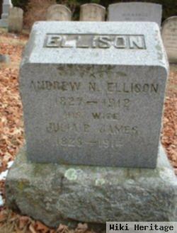 Andrew N Ellison