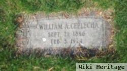 William A Ceplecha