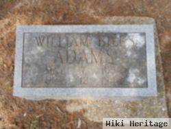 William Biles Adams