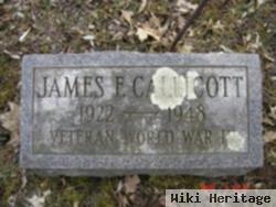 James F. Callicott