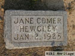 Jane Comer Hewgley