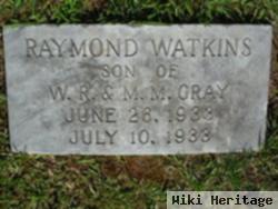 Raymond Watkins Gray