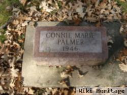 Connie Marie Palmer