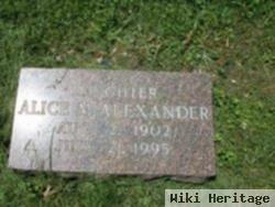 Alice M Alexander