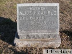 Alice Harriet Bishop Gamble