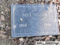 Nels Nelson