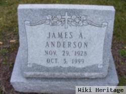 James A Anderson