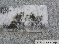 Ray Norman Clark