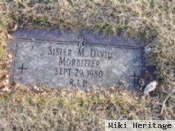 Sr M David Morbitzer