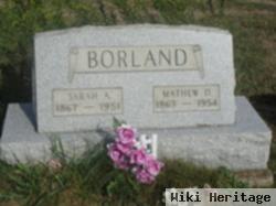 Sarah Ann Harple Borland