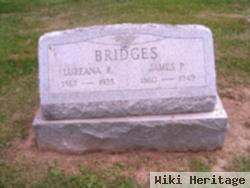 Lureana R Bridges