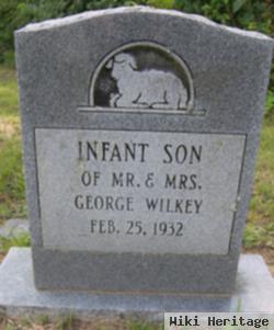 Infant Wilkey